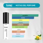 Notas olfativas acqua di gio profondo
