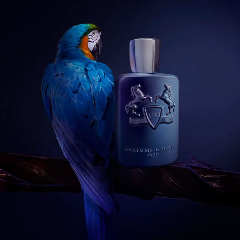 perfume layton junto a un loro azul