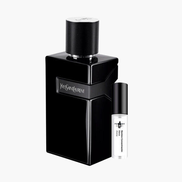 Decant Yves Saint Laurent Y Eau de Parfum 100% original, la fragancia Aromática Fougère para hombre con notas de manzana, jengibre, salvia y cedro, junto al frasco azul oscuro | El Rey de los Perfumes