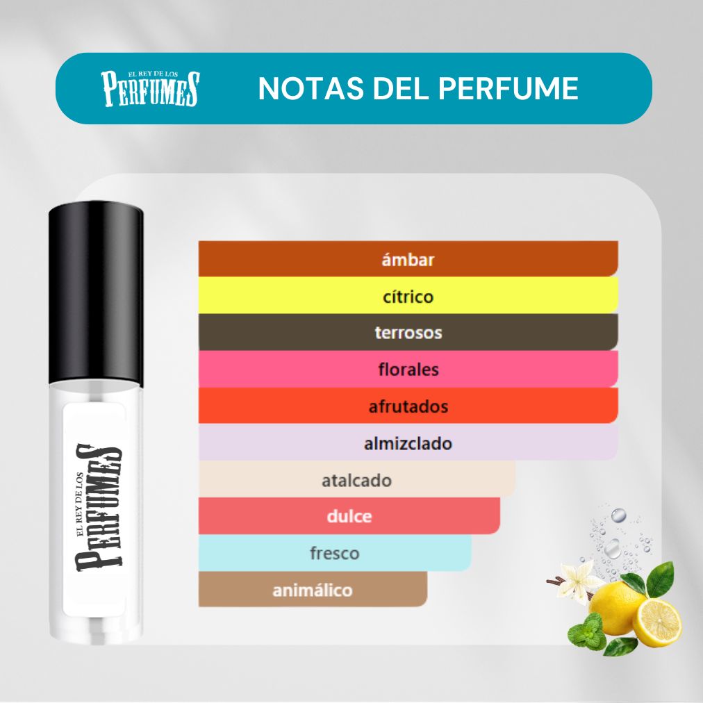 notas olfativas del perfume fragaby 2